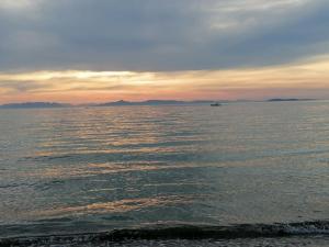 Cosy and Relax Studio by the sea, with garden