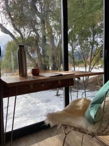 Encuentro Silvestre. Tiny house en Lago Lolog