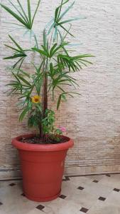 Condominio Charito Suite 2G a 12 Min Malecon 2000