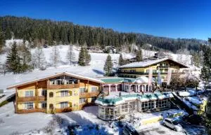 Sporthotel Radstadt - 福尔施陶