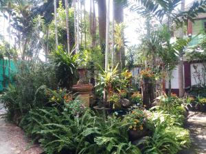 Garden House INChiangrai