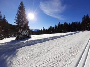 Appartements Superbe appartement Chamrousse pres des pistes : photos des chambres