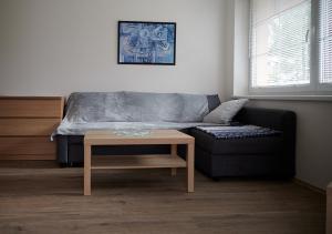 Slunný a vzdušný Apartmán Astra - by Relax Harrachov