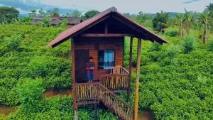 Misty Mountain- Sinharaja - Ittekanda