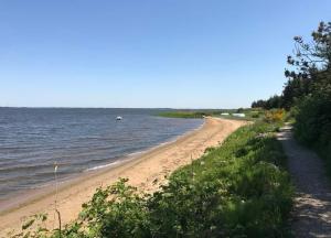 Sommerhus ved Vesterhavet