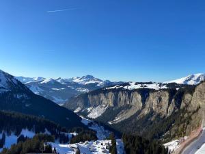 Residence Les 3 Sophie - Ski-In Studio Apartment in Les Prodains