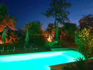 B&B / Chambres d'hotes La Villa Provencale : photos des chambres