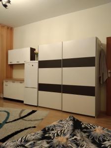 Pokój w prywatnym mieszkaniu 25m centrum Wrocławia