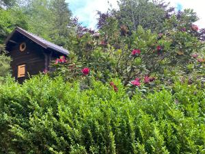 Chalets Le Paradis de Verdure : photos des chambres