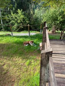 Chalets Le Paradis de Verdure : photos des chambres