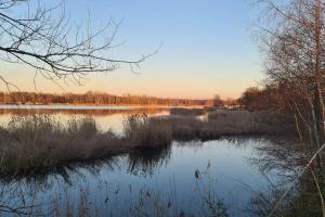 Wake domek Blue House Januszkowice