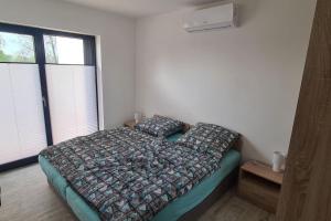 Wake domek Blue House Januszkowice