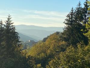 Chalets Le Paradis de Verdure : photos des chambres