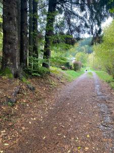 Chalets Le Paradis de Verdure : photos des chambres