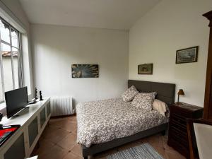 Appartements Charming independent guest house - Grand studio avec terrasse et jardin : photos des chambres