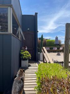 Cabañas y Lodges de Playa Ritoque RITOKAZO