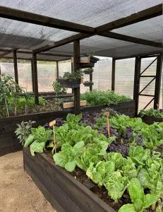 La Guarda Bed and Breakfast