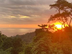 CASA BUHO and COZY JUNGLE CABANA