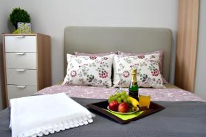 Prague city centre apartment Radka1