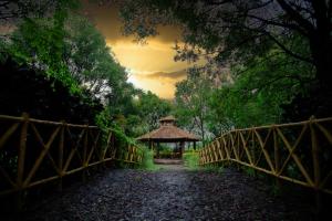 Sterling Banashree Badami