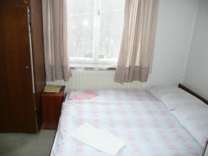 One-Bedroom Apartment room in Apartment Trojska