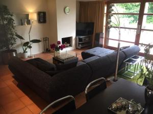 Near Amsterdam, The Hague, Leiden and North Sea