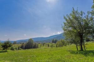 Andrea in Sertić Poljana - Haus für 6 Personen