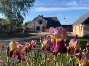 B&B / Chambres d'hotes Les Logis du Breuil : photos des chambres