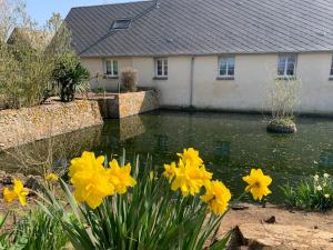 B&B / Chambres d'hotes Les Logis du Breuil : photos des chambres