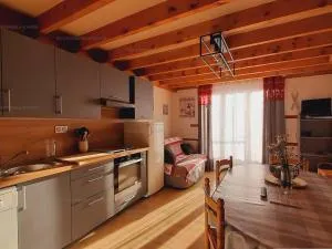 Chalet 6 pers, 2 chambres, parking, Les Angles - FR-1-295-159 - 贝尔凯尔