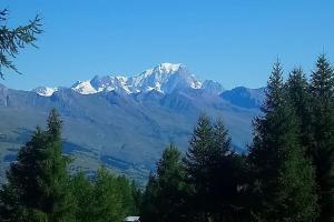 Appartements Studio Cosy classe Pied des pistes Plagne village : photos des chambres