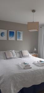 Mirador del Bosque Aparts