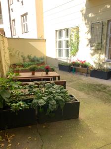 Sleep & Go Single Room