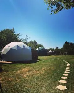 Le Nid du Tui - Faverolles