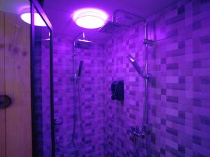 Appartements HOTEL DU BERRY - Loveroom avec Sauna, Hammam, Jacuzzi privatifs : photos des chambres