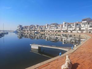 Appartement T2 avec terrasse, piscine, parking - Le Barcarès - FR-1-195-46