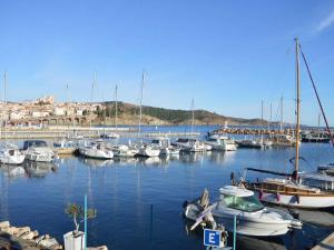 Appartements Appartement Banyuls-sur-Mer, 2 pieces, 4 personnes - FR-1-225C-21 : Appartement (4 Adultes)