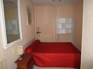 Appartements Appartement T3 pour 5 personnes, centre-ville, a 300m des pistes et 50m des thermes, balcon, casier a skis - FR-1-234-137 : photos des chambres