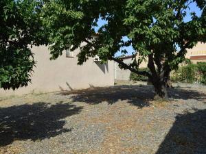 Maisons de vacances Villa 4 pieces avec jardin arbore proche mer, calme et grands espaces - Argeles-sur-Mer - FR-1-225-460 : Maison de Vacances