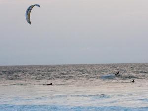 Appartement T2 Mezzanine avec Terrasse Proche Lac - Animaux Acceptés ! - FR-1-379-27