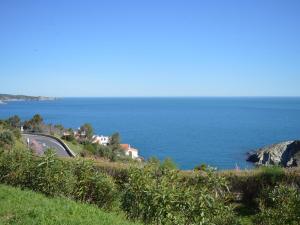 Appartements Appartement 2 pieces avec terrasse, WIFI et parking a Banyuls-sur-Mer - FR-1-225C-488 : photos des chambres