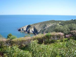 Appartements Appartement 2 pieces avec terrasse, WIFI et parking a Banyuls-sur-Mer - FR-1-225C-488 : photos des chambres