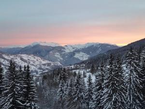 Appartement 2 pièces à Valmorel avec balcon et casier à skis - FR-1-291-799