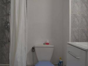 Appartements Appartement Saint-Cyprien, 2 pieces, 4 personnes - FR-1-225D-472 : photos des chambres