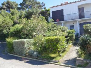 Appartements Appartement Banyuls-sur-Mer, 2 pieces, 4 personnes - FR-1-225C-34 : photos des chambres