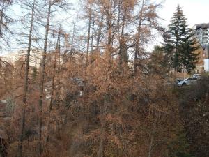 Appartement confort 2P, 6 pers, cœur de station, accès direct pistes, cheminée, WiFi, TV, balcon ouest - FR-1-322-297