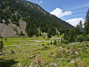 Appartement cosy Cauterets, balcon sud, proche centre & télécabine, 4 pers, parking inclus - FR-1-401-15