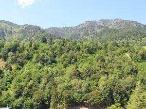 Appartement cosy 4 pers avec parking, terrasse, local à skis - FR-1-403-21