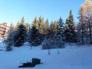 Duplex skis aux pieds 3 pièces, 8 pers, Animaux admis - FR-1-411-59