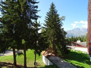 Studio skis aux pieds pour 4 pers., animaux admis aux Arcs 1800 - FR-1-411-291